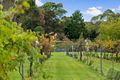 Property photo of 28 Nirvana Close Langwarrin South VIC 3911