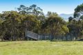 Property photo of 3142 Jerangle Road Jerangle NSW 2630