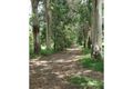 Property photo of 203 Nandroya Road Cooroy QLD 4563