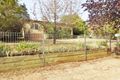 Property photo of 13 Whiteman Avenue Young NSW 2594