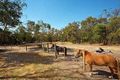 Property photo of 431 North Road Langwarrin VIC 3910
