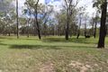 Property photo of 201 Ridge Road Durong QLD 4610