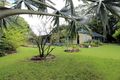 Property photo of 7-9 Elford Street Clifton Beach QLD 4879