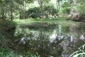 Property photo of 399 Perwillowen Road Perwillowen QLD 4560