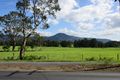 Property photo of 316 Illaroo Road Bangalee NSW 2541
