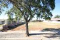 Property photo of 64 Craig Street Richmond SA 5033