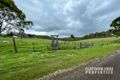 Property photo of 312 Widgee Creek Road Hillview QLD 4285