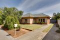 Property photo of 50 Ormond Avenue Daw Park SA 5041