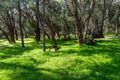 Property photo of 24 Yulbah Loop Baldivis WA 6171