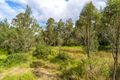 Property photo of 6 Sexton Road Lower Wonga QLD 4570