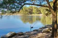 Property photo of 32 Allambie Road Allambie Heights NSW 2100