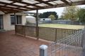 Property photo of 25 Mount Burr Road Millicent SA 5280
