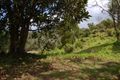 Property photo of 35 Placadena Road Fingal VIC 3939