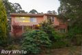 Property photo of 41 Winns Road Coromandel Valley SA 5051