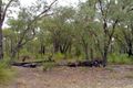 Property photo of 42 Charbray Road Lower Chittering WA 6084