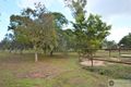 Property photo of 47 Toolakea Beach Road Bluewater QLD 4818