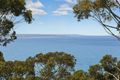 Property photo of 51 Charles Street Lorne VIC 3232