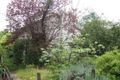 Property photo of 15 Milton Crescent Box Hill South VIC 3128