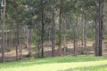 Property photo of 3 Memory Lane North Deep Creek QLD 4570