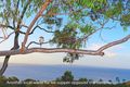 Property photo of 25 Bayview Road Noosa Heads QLD 4567