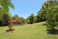 Property photo of 269 Diddillibah Road Diddillibah QLD 4559