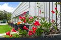 Property photo of 151/71 Ruttleys Road Wyee NSW 2259