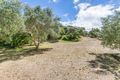 Property photo of 39 Canterbury Street Sorrento VIC 3943