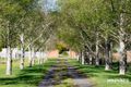 Property photo of 173 Karoola Road Karoola TAS 7267
