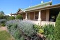 Property photo of 30 Victoria Road Clare SA 5453