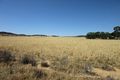 Property photo of 2 Ridge Street Attunga NSW 2345