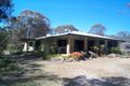 Property photo of 84 Tea Tree Lane Sugarloaf QLD 4380