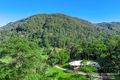 Property photo of 400 Upper Wilsons Creek Road Upper Wilsons Creek NSW 2482