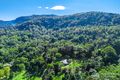 Property photo of 400 Upper Wilsons Creek Road Upper Wilsons Creek NSW 2482