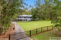Property photo of 41 Canopy Drive Bonogin QLD 4213