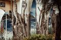 Property photo of 7 Seaberry Court Cape Paterson VIC 3995