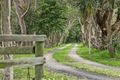 Property photo of 61 Balnarring Road Balnarring VIC 3926