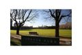 Property photo of 19 Lang Street South Yarra VIC 3141