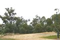 Property photo of 33 Slaney Place Aspley QLD 4034