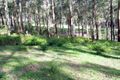 Property photo of 397 Mt Eirene Road Gembrook VIC 3783
