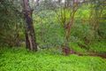 Property photo of 6 Royal Avenue Burnside SA 5066