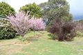 Property photo of 75 Bendall Road Argyle WA 6239