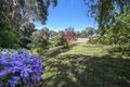 Property photo of 3 Old Orchard Court Riddells Creek VIC 3431