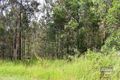 Property photo of LOT 68 Brassington Road Glenwood QLD 4570