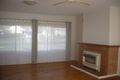 Property photo of 20 Joyce Avenue Klemzig SA 5087
