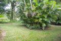 Property photo of 54 Dunkalli Crescent Wongaling Beach QLD 4852