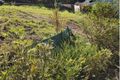 Property photo of 38 Corey Court Palmwoods QLD 4555