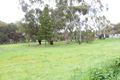 Property photo of 24 Globe Street Auburn SA 5451