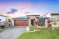 Property photo of 4 Flyers Street Spring Mountain QLD 4300