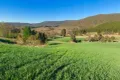 Property photo of 4782 Jerangle Road Anembo NSW 2621
