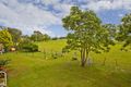 Property photo of 1064 New England Highway Lochinvar NSW 2321